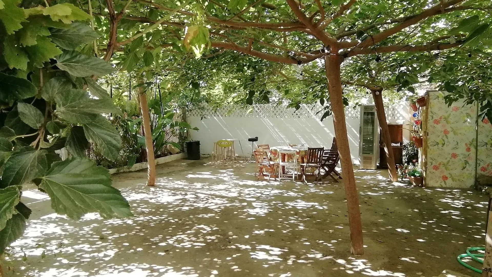Hotel Surf House Playa Conil De La Frontera Camping