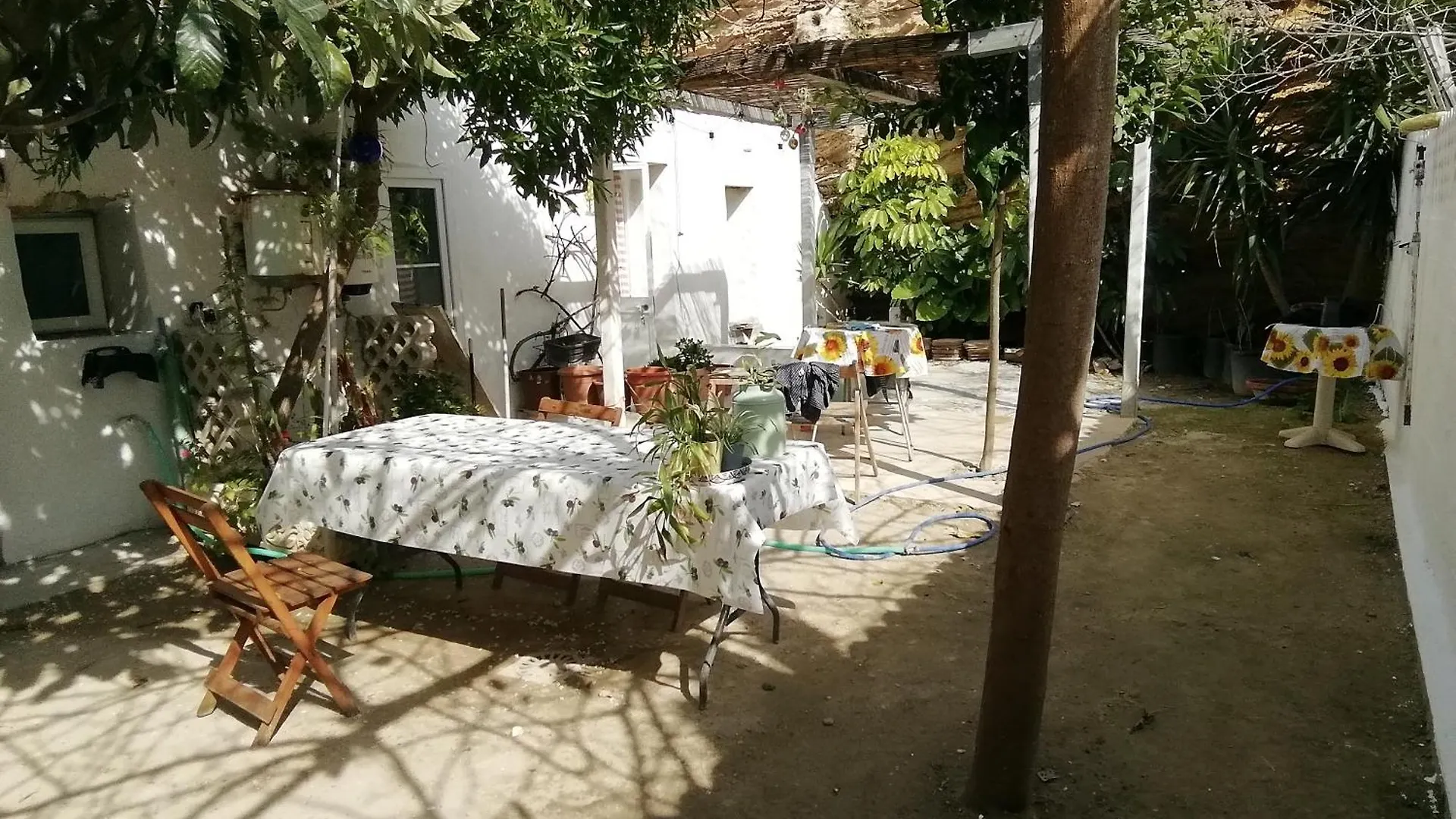 Hotel Surf House Playa Conil De La Frontera Camping