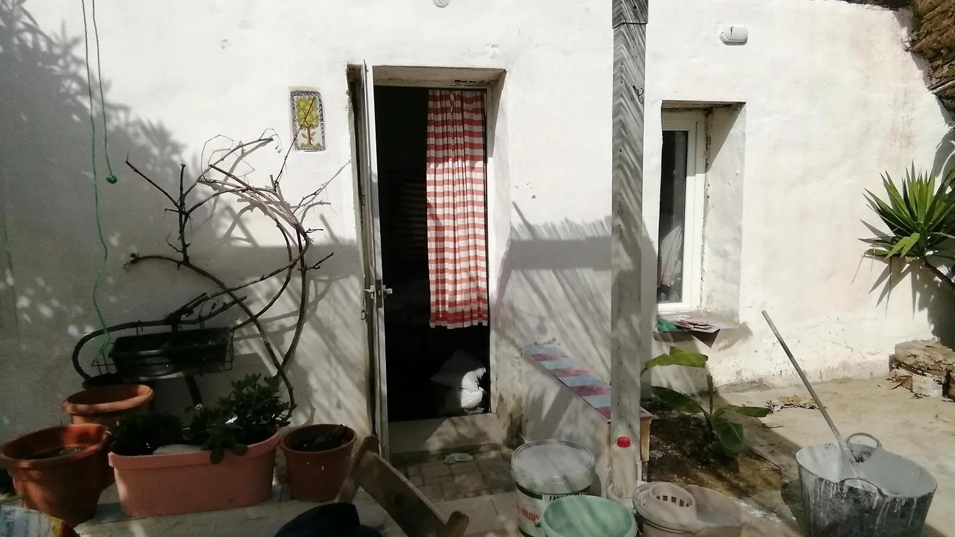 Hotel Surf House Playa Conil De La Frontera 0*,
